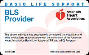 BLS Provider (Renewal)