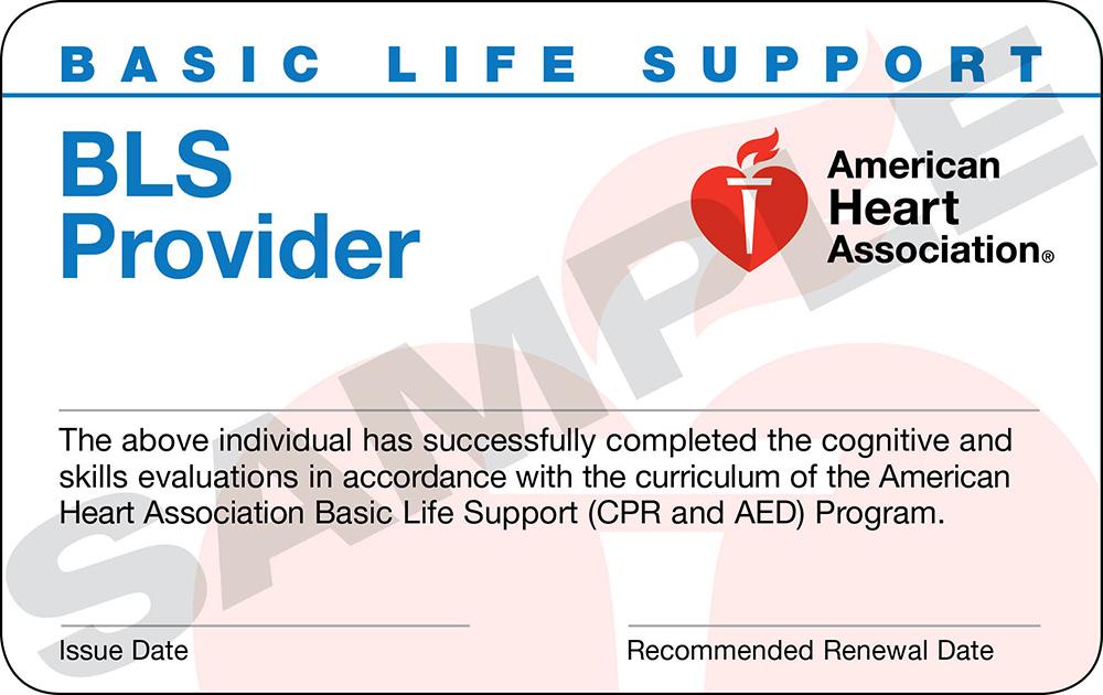 BLS Provider